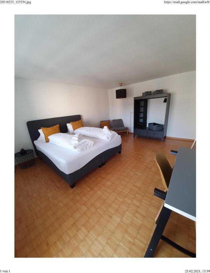 Hotel Zum Hirschen Villigen Екстериор снимка