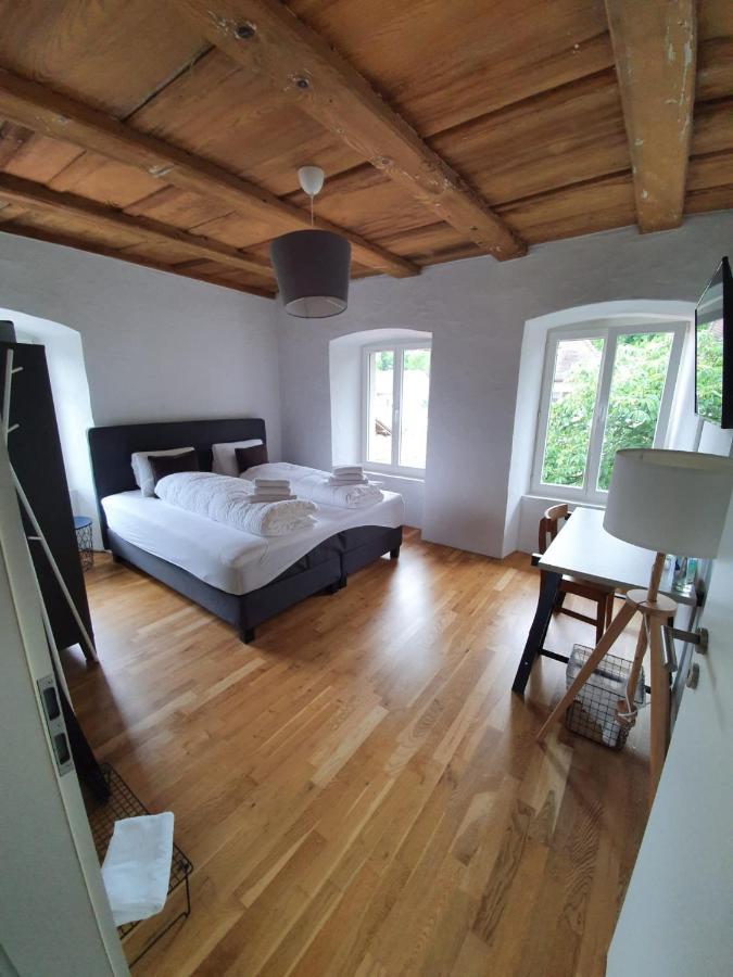 Hotel Zum Hirschen Villigen Екстериор снимка
